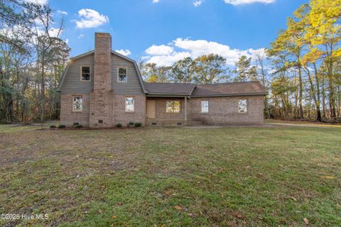Photo of 50 Irvin Enzor Road S, Fair Bluff, NC 28439 (MLS # 100544820)