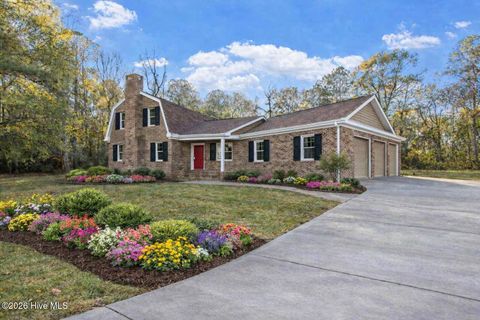 Homes For Sale - 50 Irvin Enzor Road<br/> Columbus County, Fair Bluff, NC 28439