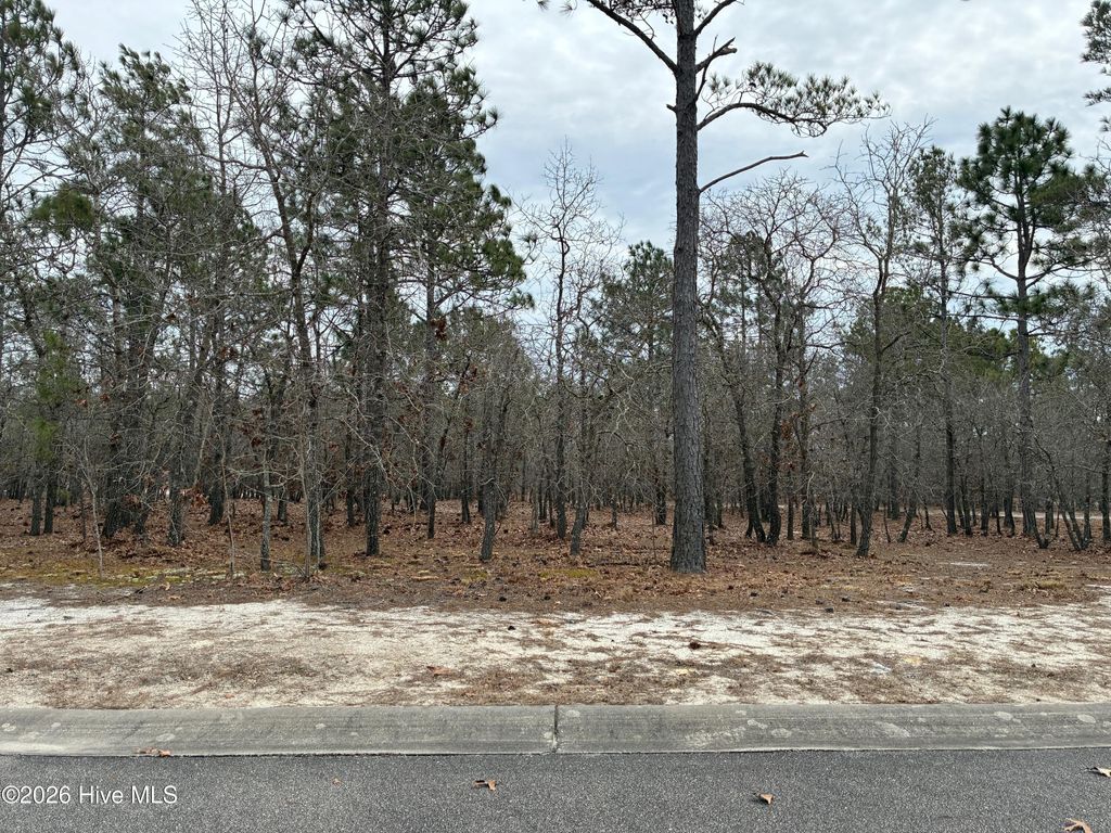 Photo of 448 Isabella Street SE, Bolivia, NC 28422 (MLS # 100558654)