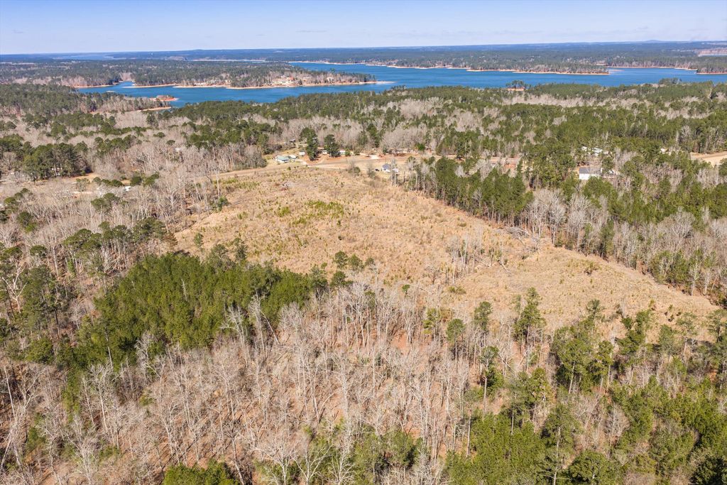 Photo of 0 Chamberlain S Ferry Road, Lincolnton, GA 30817 (MLS # 552637)