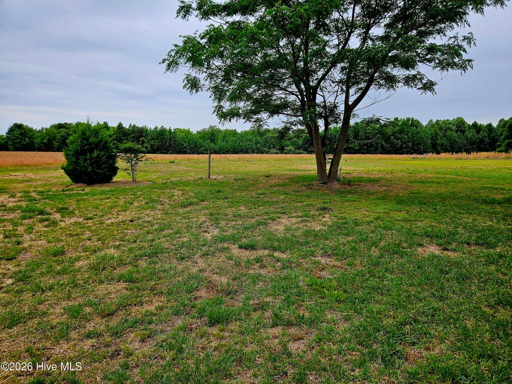 Photo of 159 Batchlor Farm Lane, Kenansville, NC 28349 (MLS # 100571250)