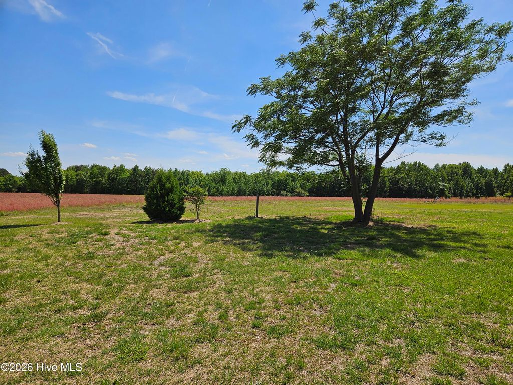 Photo of 159 Batchelor Farm Lane, Kenansville, NC 28349 (MLS # 100571250)