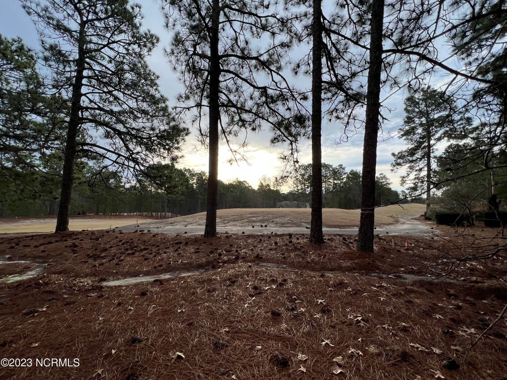 Photo of 182 Banbridge Drive, West End, NC 27376 (MLS # 100600476)