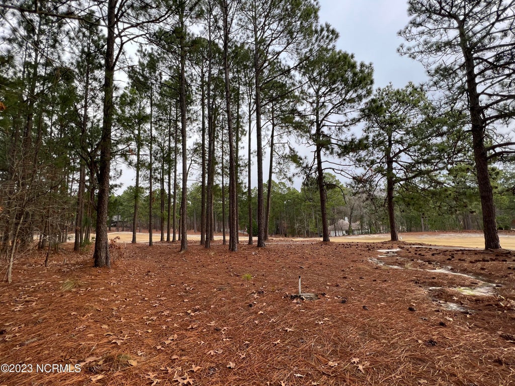 Photo of 182 Banbridge Drive, West End, NC 27376 (MLS # 100600476)