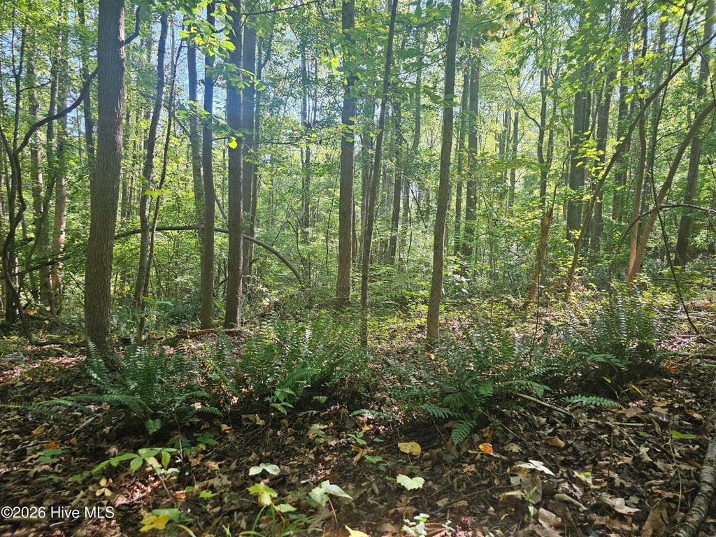 Photo of 0 Off Old County Home Road, Nashville, NC 27856 (MLS # 100610330)