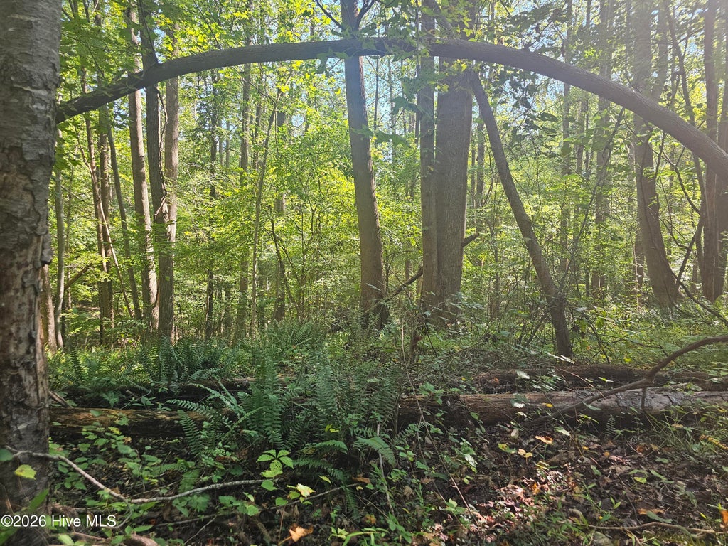 Photo of 0 Off Old County Home Road, Nashville, NC 27856 (MLS # 100610330)