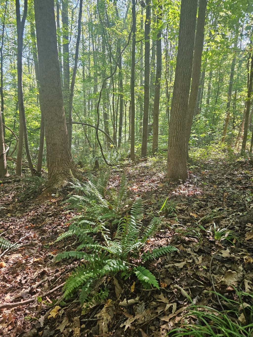 Photo of 0 Off Old County Home Road, Nashville, NC 27856 (MLS # 100610330)