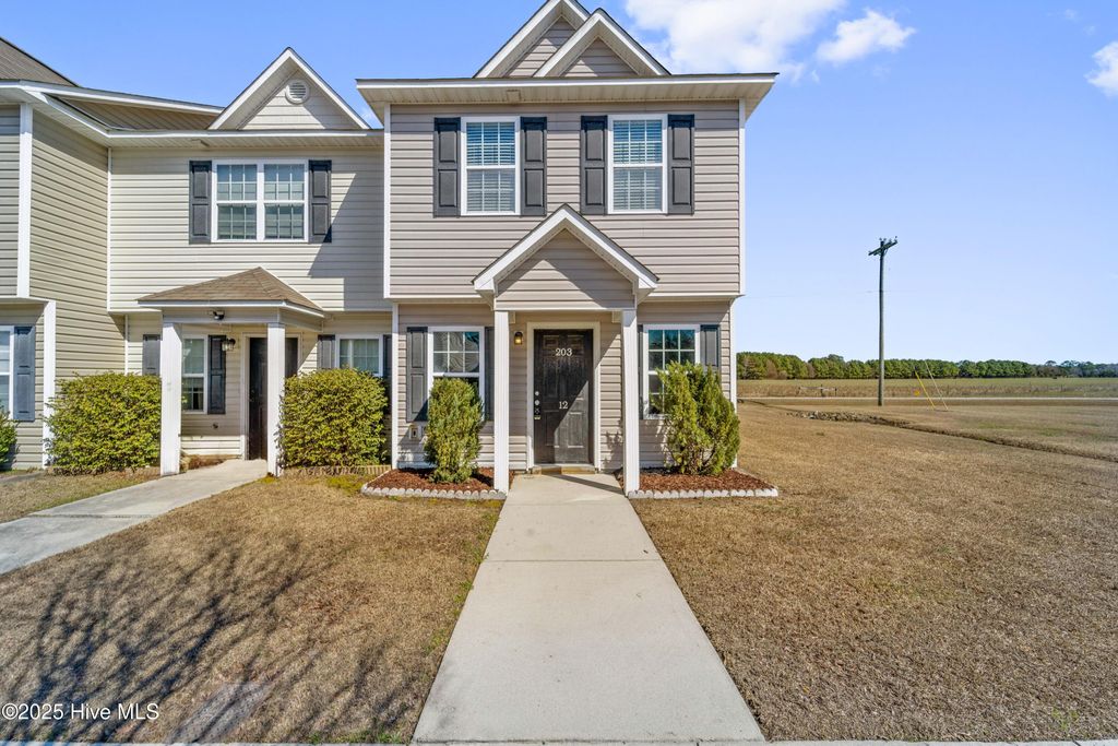 Photo of 203 Lanieve Court #12, Hubert, NC 28539 (MLS # 100559819)