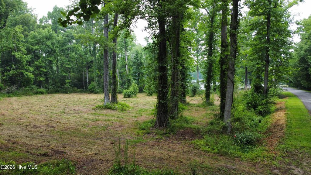 Photo of 111113 Tradewinds Road, Newport, NC 28570 (MLS # 100585693)