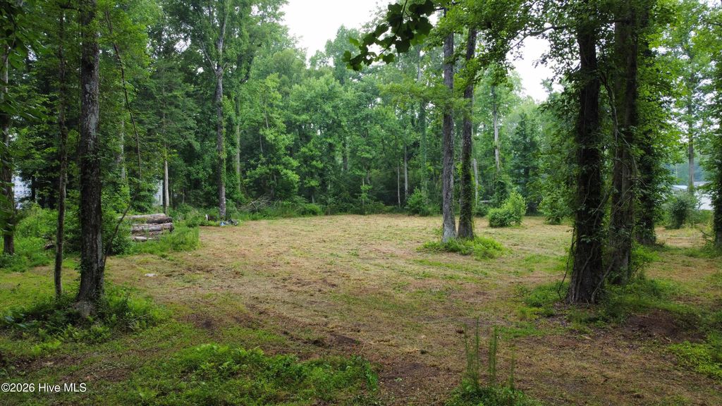 Photo of 111113 Tradewinds Road, Newport, NC 28570 (MLS # 100585693)