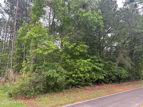 Tiny photo for 513 Center Drive, Hampstead, NC 28443 (MLS # 100570531)