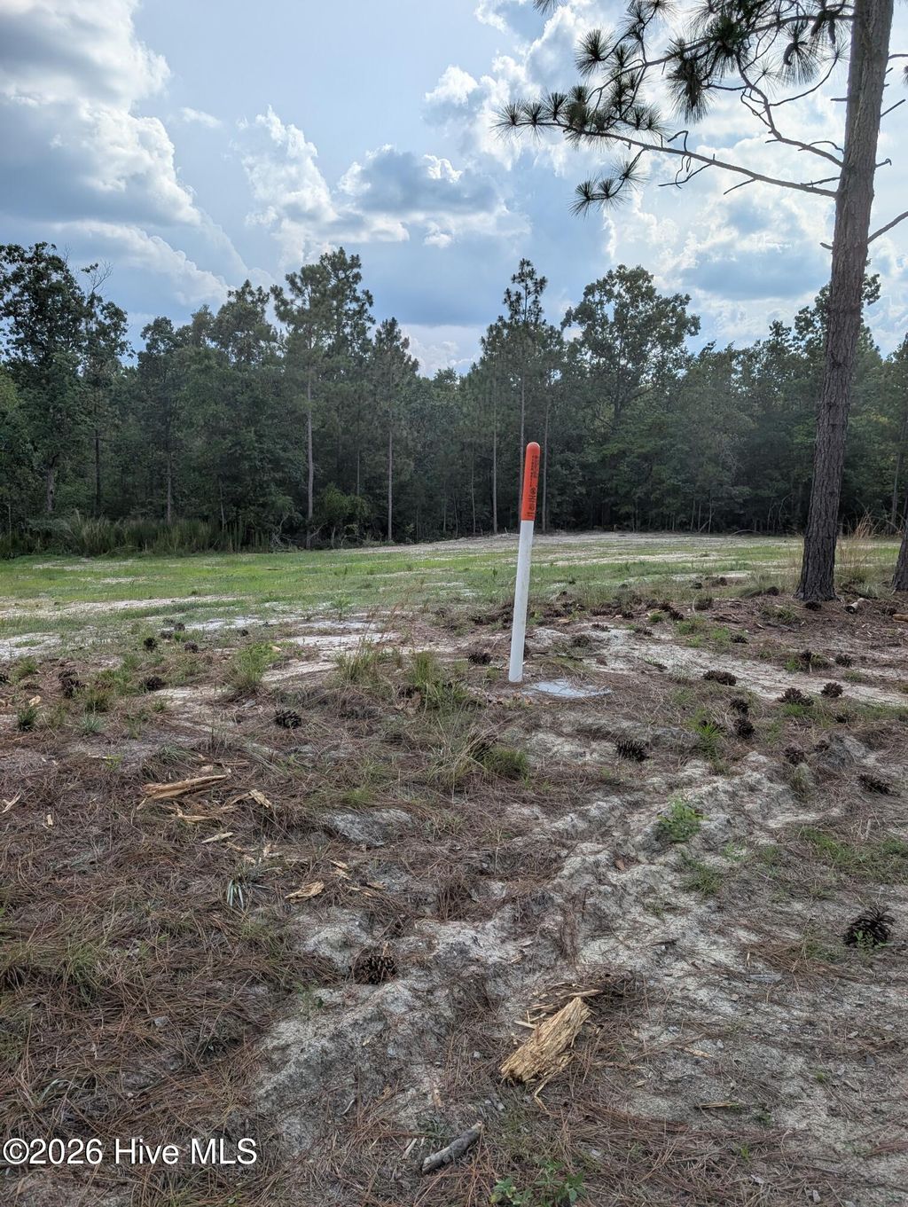 Photo of 270 Charles Road, Eagle Springs, NC 27242 (MLS # 100590980)