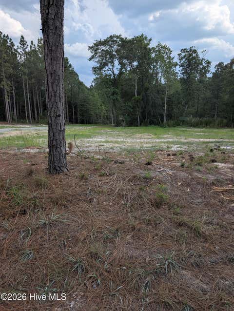 Vacant Land For Sale - 270 Charles Road<br/> Moore County, Eagle Springs, NC 27242