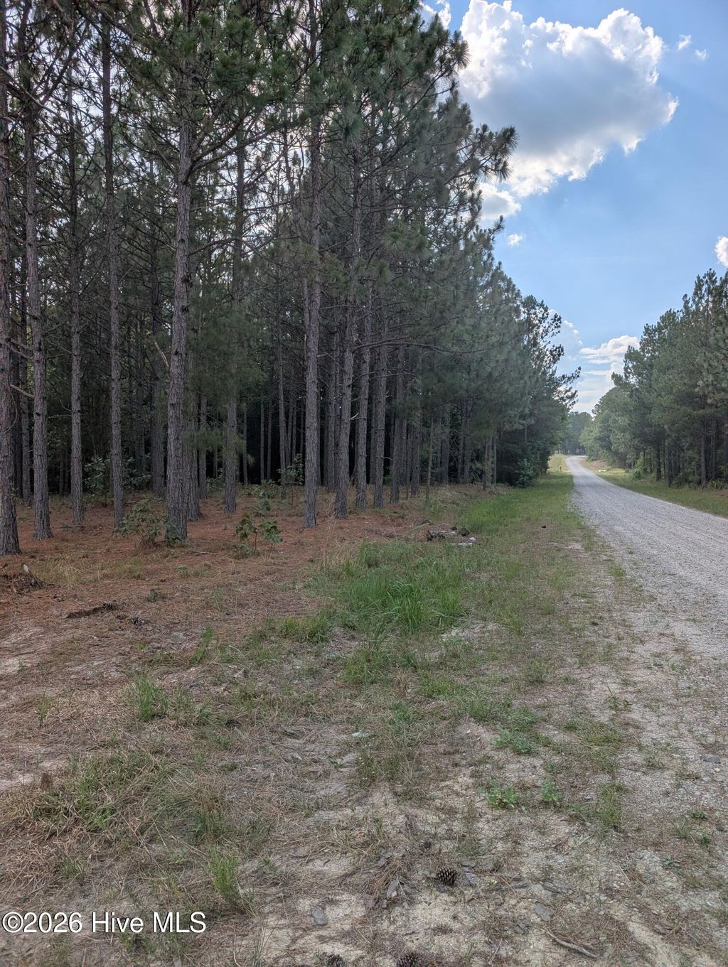 Photo of 270 Charles Road, Eagle Springs, NC 27242 (MLS # 100590980)