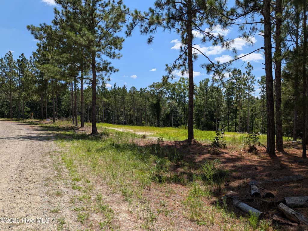 Photo of 270 Charles Road, Eagle Springs, NC 27242 (MLS # 100590980)