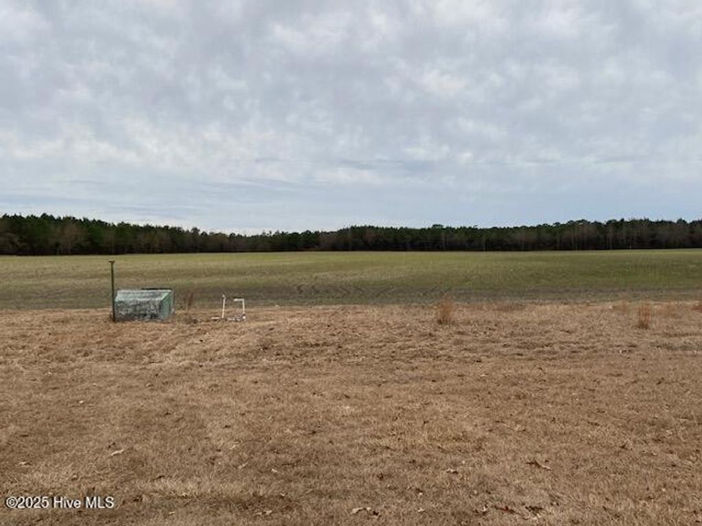 Photo of 160 Big Piney Grove Road, Clinton, NC 28328 (MLS # 100546121)