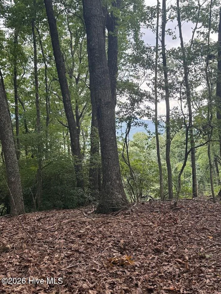 Lot 43 Pine Cove Lane
