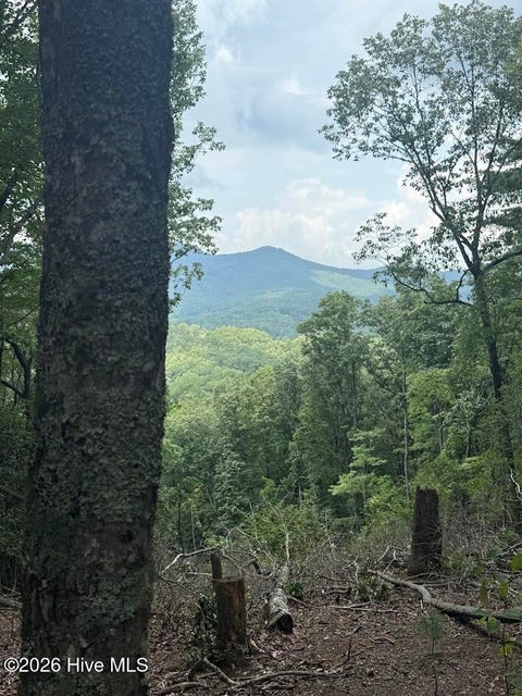 Vacant Land For Sale - LOT 43 Pine Cove Lane<br/> Murphy, NC 28906