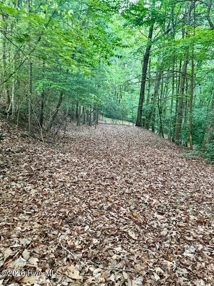 Tbd Lot 43 Pine Cove Lane, Murphy, NC, 28906