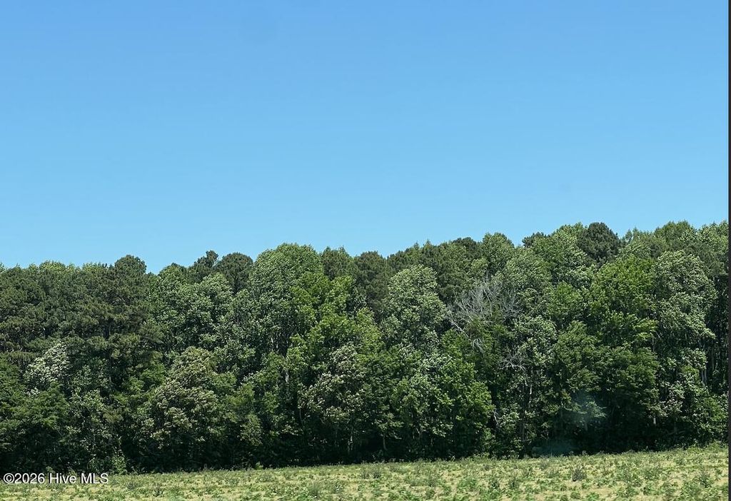 Photo of Tbd Highway S, Camden, NC 27921 (MLS # 100575464)