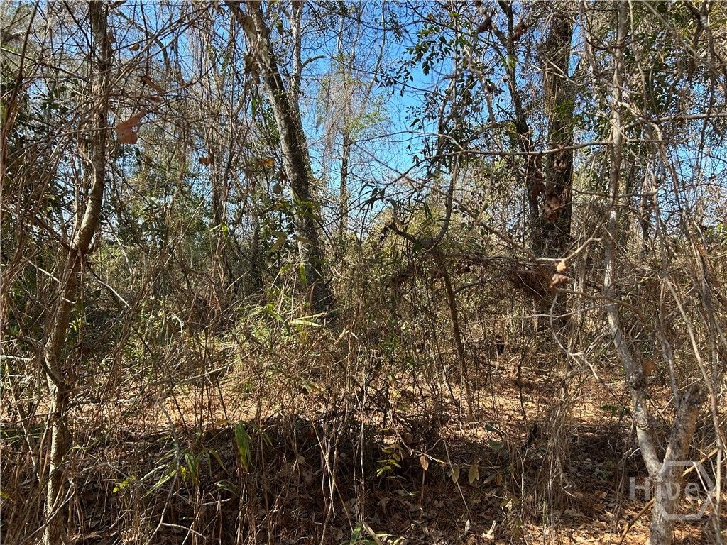 Photo of 0 Barrington Ferry Road, Riceboro, GA 31323 (MLS # SA348790)