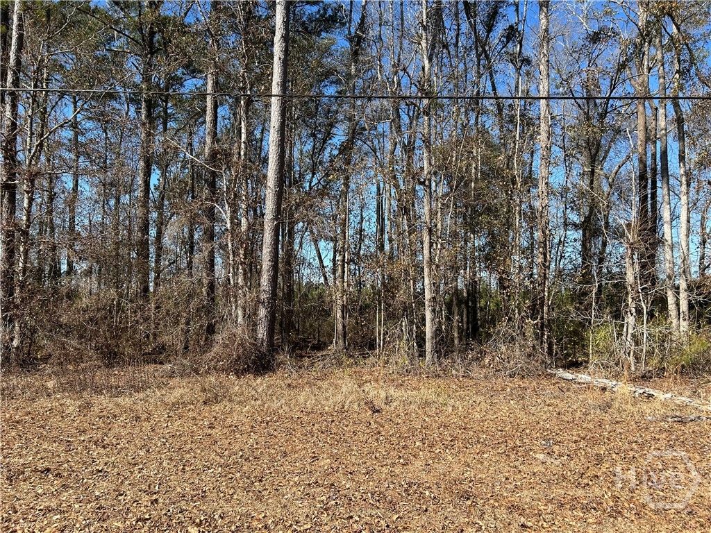 Photo of 0 Barrington Ferry Road, Riceboro, GA 31323 (MLS # SA348790)