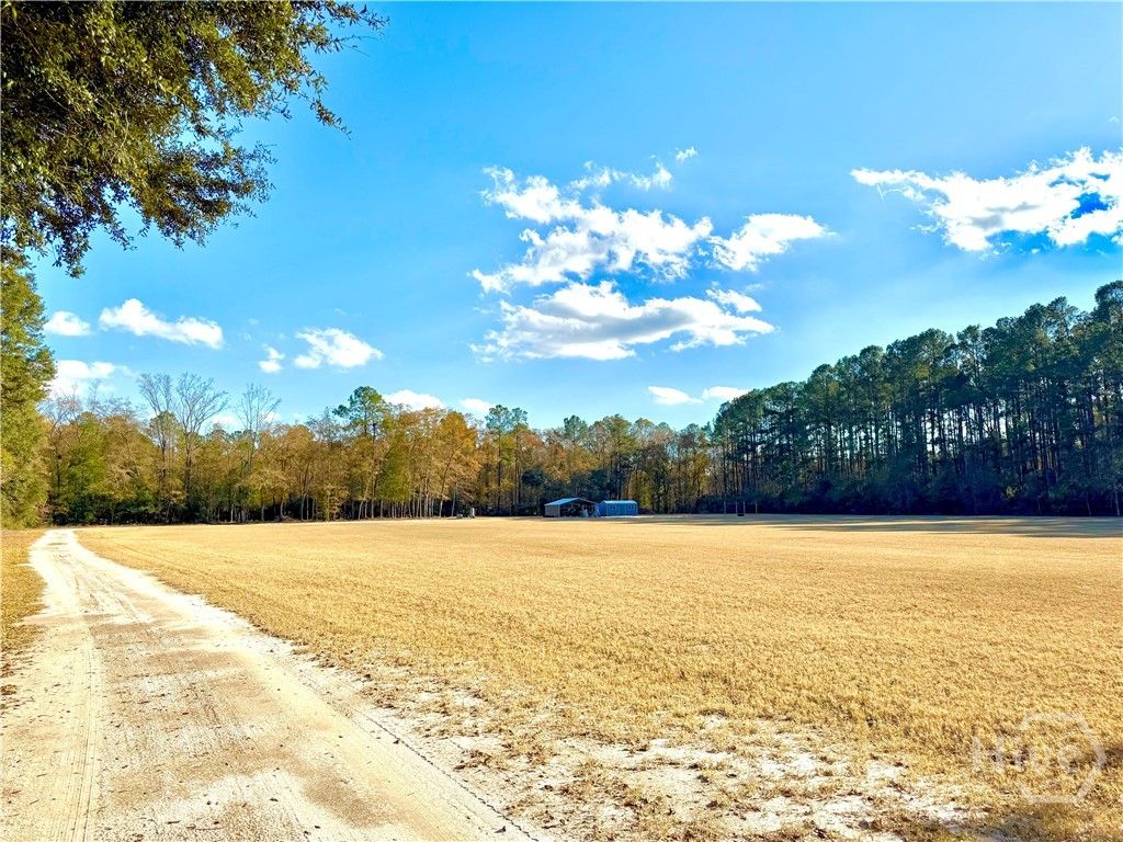Photo of 1419 Low Ground Road, Guyton, GA 31312 (MLS # SA345716)