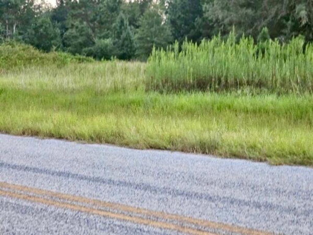 Photo of 300 Home Tract Road, Waynesboro, GA 30830 (MLS # 549263)