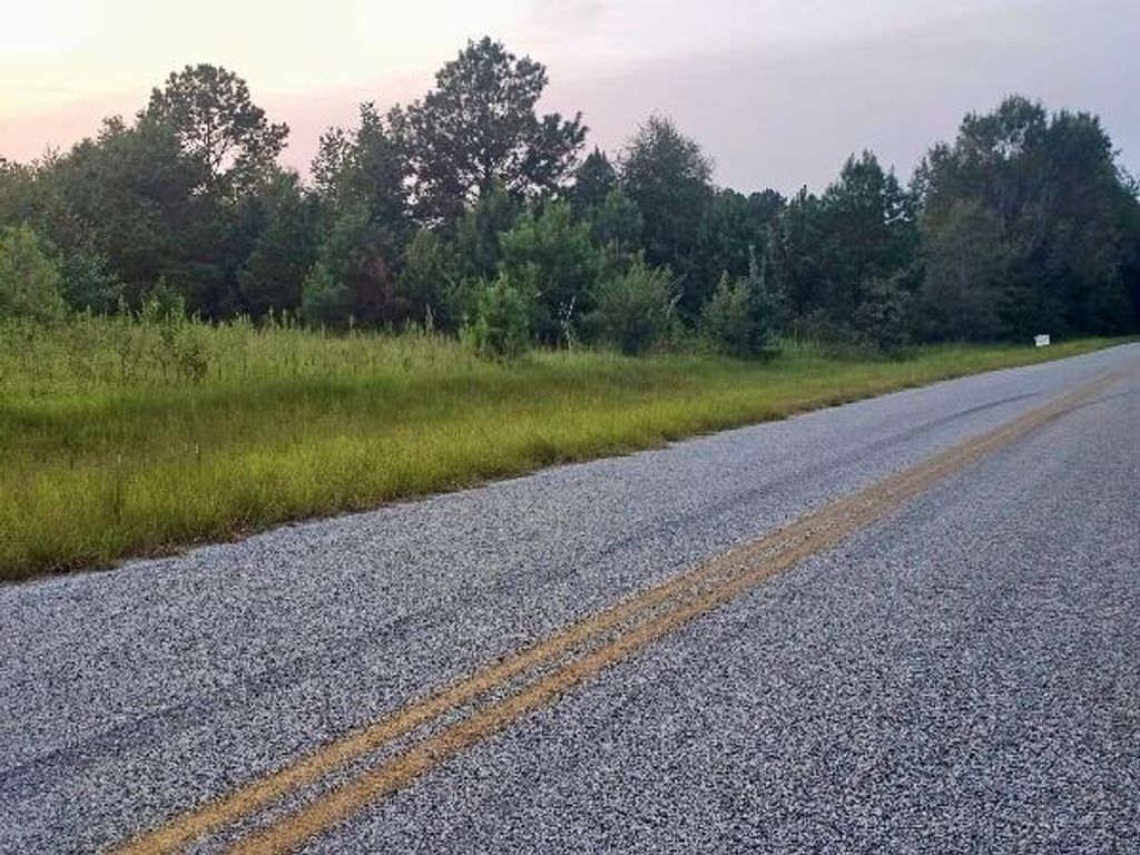 Photo of 300 Home Tract Road, Waynesboro, GA 30830 (MLS # 549263)