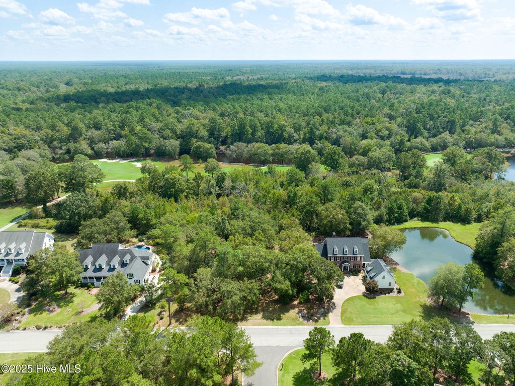 Photo of 211 River Ridge Rd Drive, Wallace, NC 28466 (MLS # 100494375)