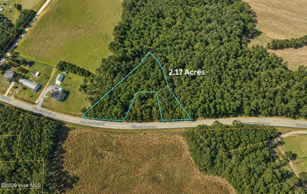 Photo of 0 Princeton Kenly Road, Kenly, NC 27542 (MLS # 100589881)