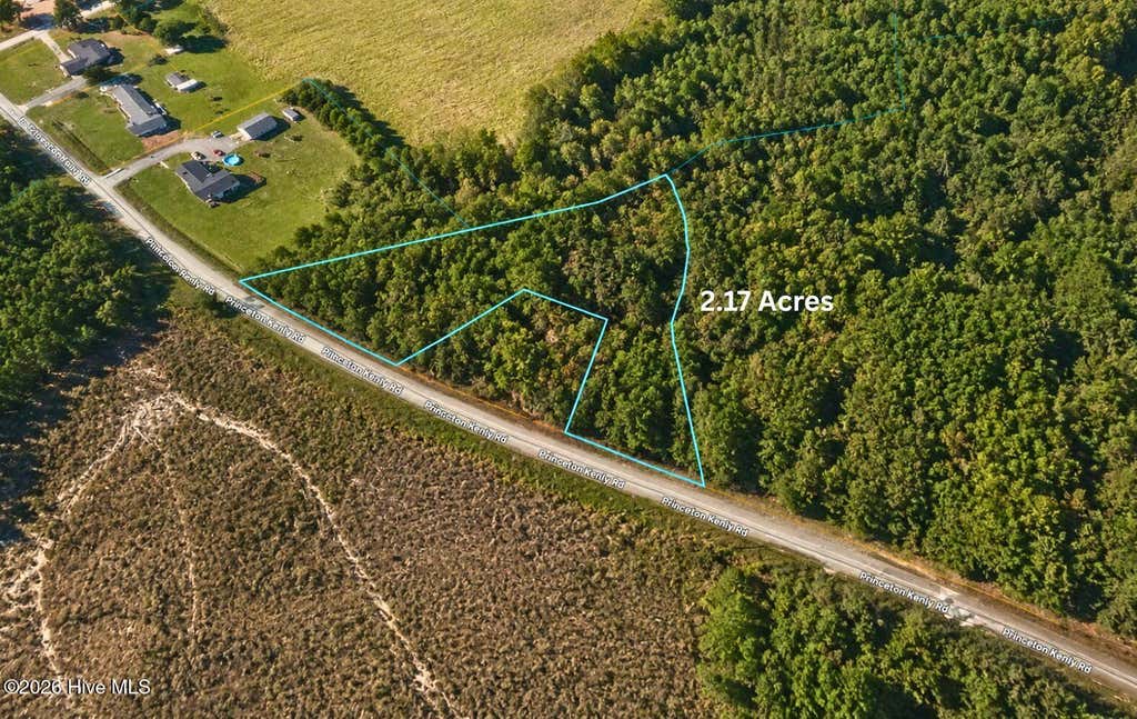Photo of 0 Princeton Kenly Road, Kenly, NC 27542 (MLS # 100589881)