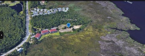 Tiny photo for 115 Turtle Cay Drive, Wilmington, NC 28412 (MLS # 100543477)