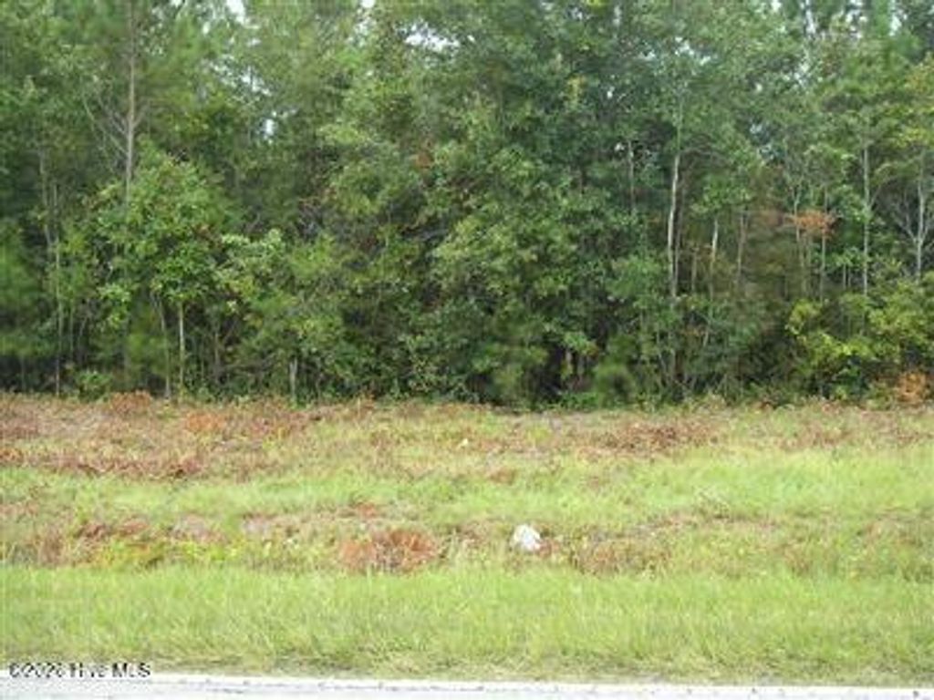 Photo of 1055 Ferry Landing Drive SW, Supply, NC 28462 (MLS # 100561094)