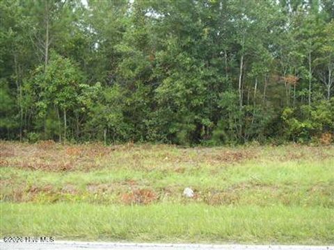 Photo of 1055 Ferry Landing Drive SW, Supply, NC 28462 (MLS # 100561094)
