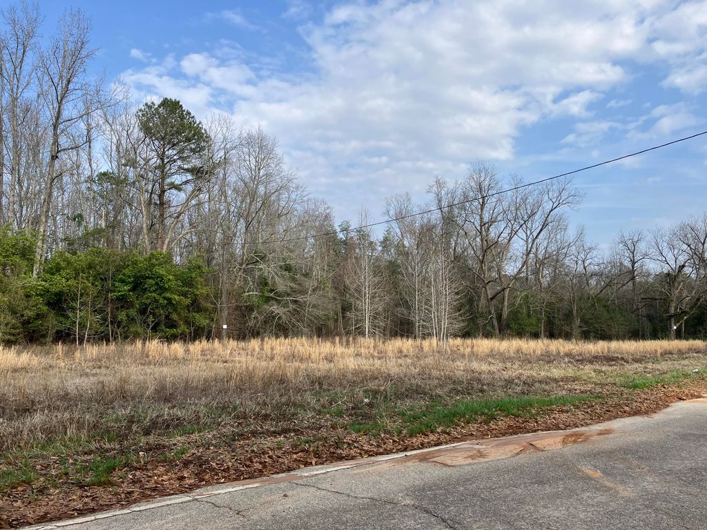 Photo of 5234 Old Mike Padgett Highway, Hephzibah, GA 30815 (MLS # 552423)