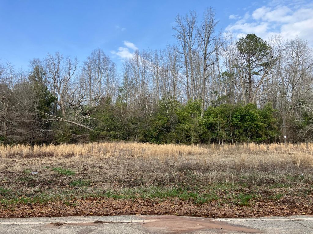 Photo of 5234 Old Mike Padgett Highway, Hephzibah, GA 30815 (MLS # 552423)