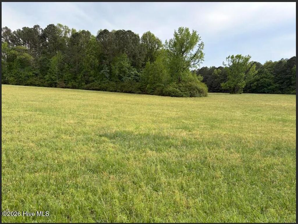 Photo of 2323 Lonesome Pine Road, Whitakers, NC 27891 (MLS # 100568454)