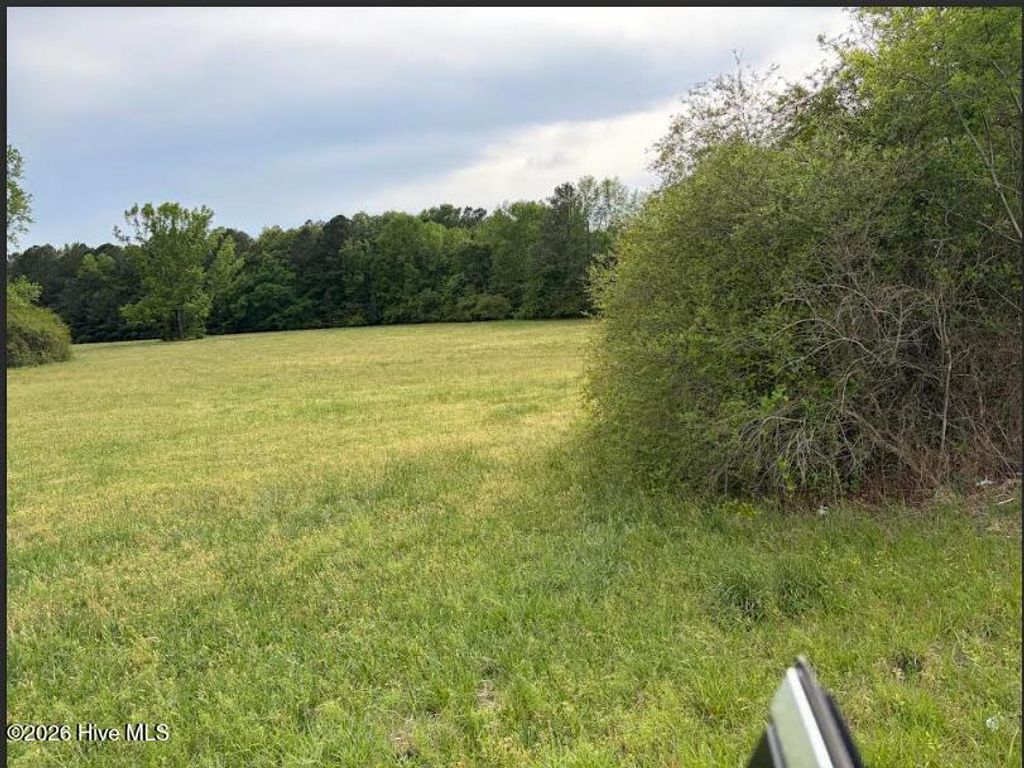 Photo of 2323 Lonesome Pine Road, Whitakers, NC 27891 (MLS # 100568454)