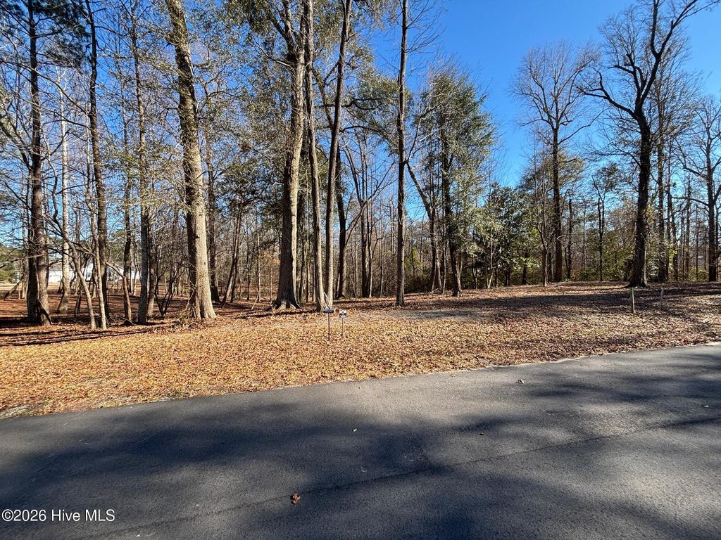 Photo of 124 River Bluffs Drive, Castle Hayne, NC 28429 (MLS # 100554896)