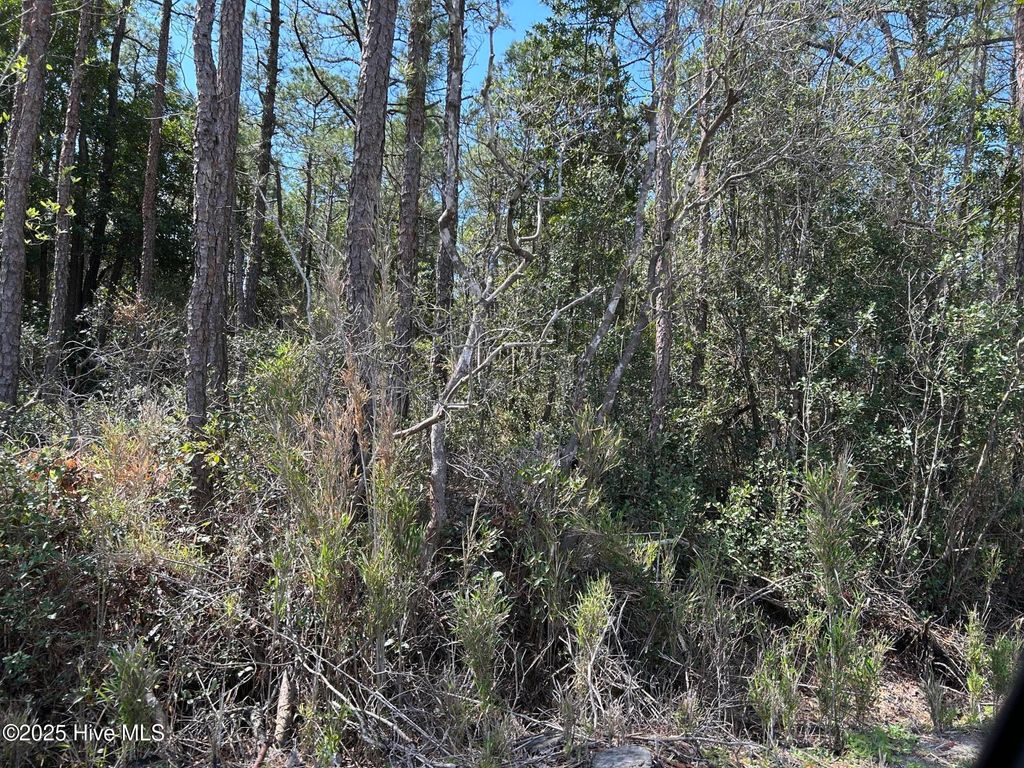 Photo of 7580 Plantation Road, Wilmington, NC 28405 (MLS # 100511456)