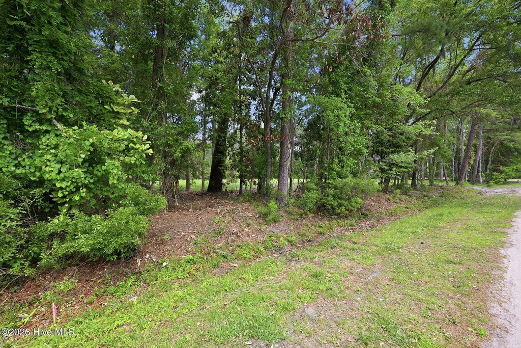 Photo of 163 Trent Shores Drive, Trent Woods, NC 28562 (MLS # 100575053)