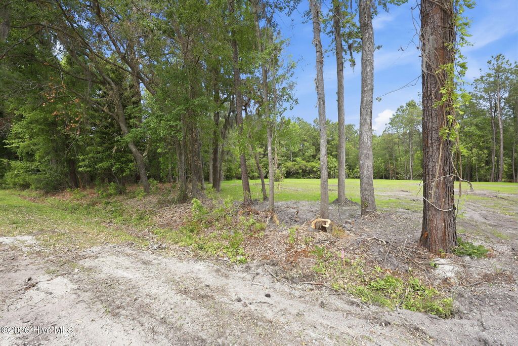 Photo of 163 Trent Shores Drive, Trent Woods, NC 28562 (MLS # 100575053)
