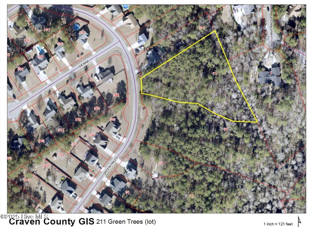 Photo of 211 Green Trees Drive, New Bern, NC 28562 (MLS # 100494073)