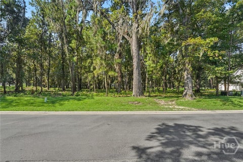 Vacant Land For Sale - 183 Little Lulu Lane<br/> Richmond Hill, GA 31324