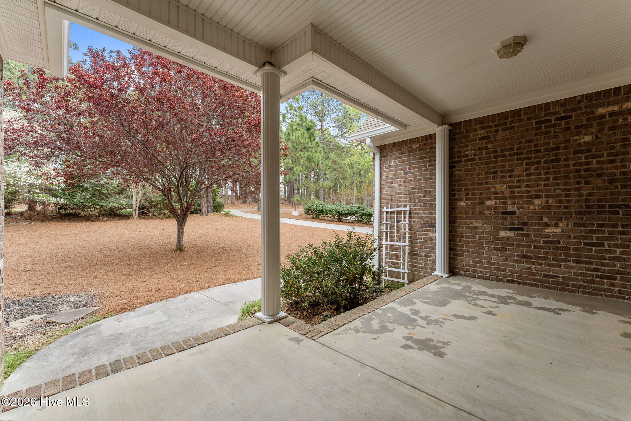 141 Longleaf Drive