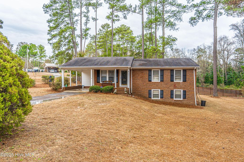 Photo of 1213 Oak Avenue, Hamlet, NC 28345 (MLS # 100546390)