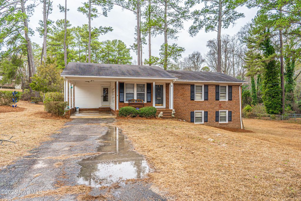 Photo of 1213 Oak Avenue, Hamlet, NC 28345 (MLS # 100546390)