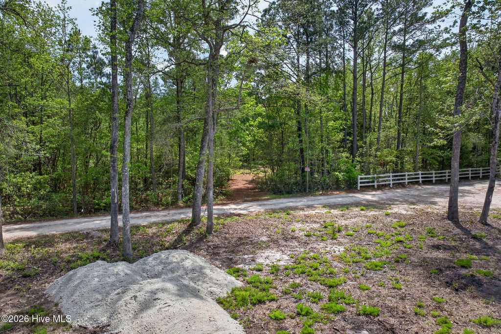 Photo of 275 Crystal Court, Hampstead, NC 28443 (MLS # 100566572)