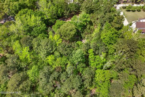 Tiny photo for 275 Crystal Court, Hampstead, NC 28443 (MLS # 100566572)